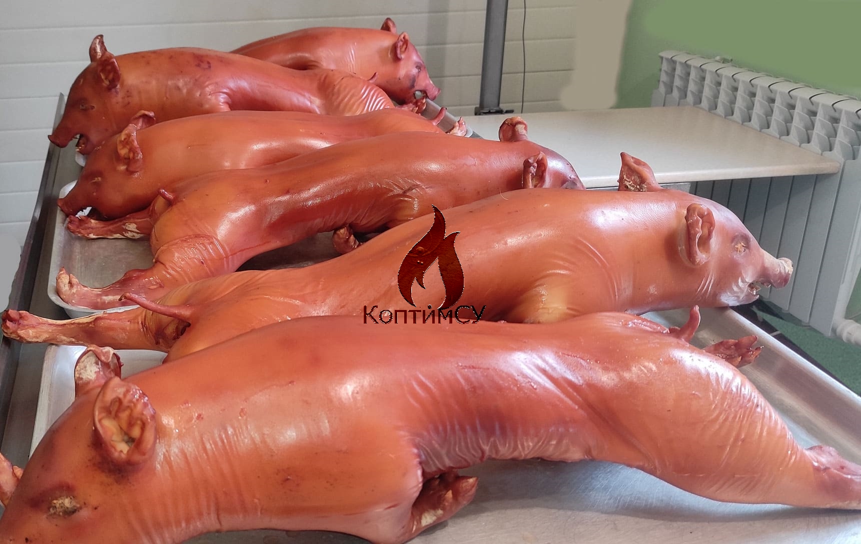 Молодые копченые поросята Image